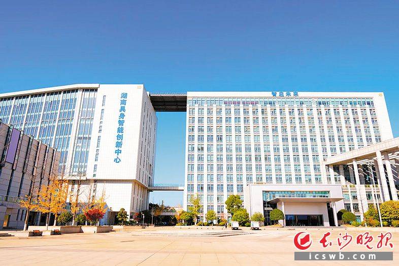 潮湧“人工智慧+” 逐浪新質生產力