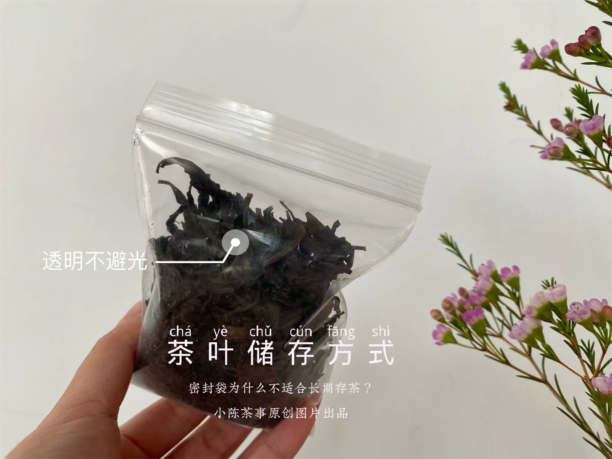 幾千塊的茶葉，別毀在幾毛的密封袋上！茶葉密封袋，你選對了嗎？