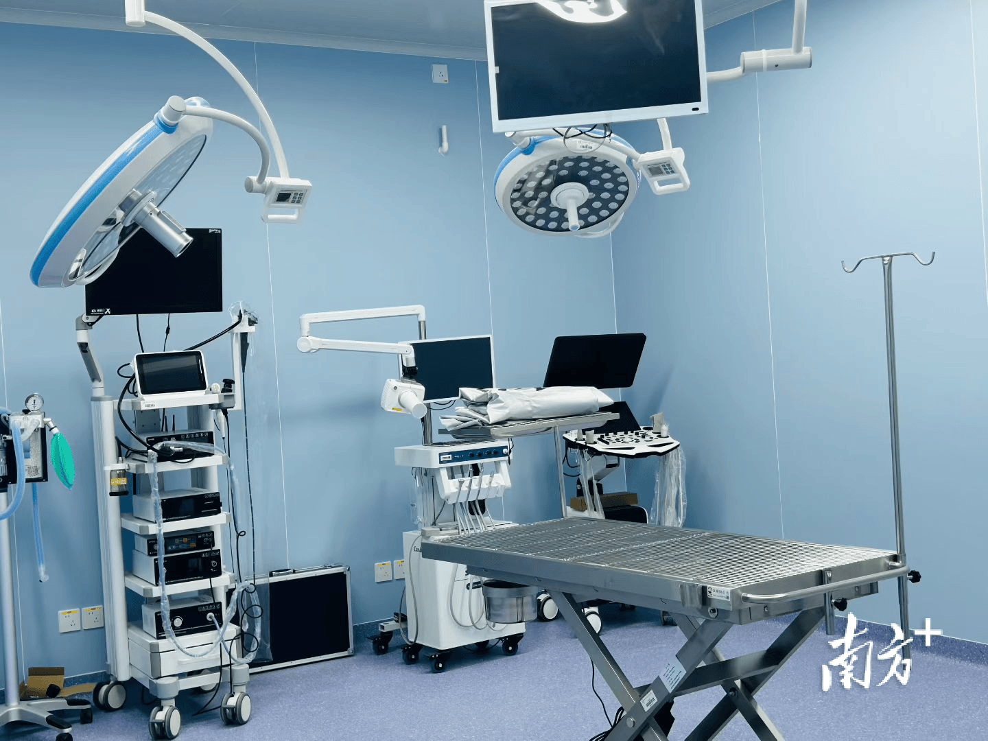 寵物主福音！仲愷農業工程學院“上新了”