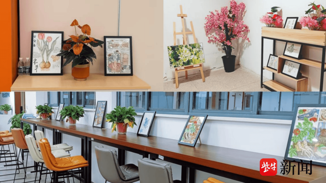 賦能中藥文化傳承，蘇州衛生職業技術學院“紫花地丁”中藥社團這樣做——