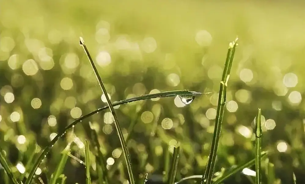 原創破石詩歌：石頭記