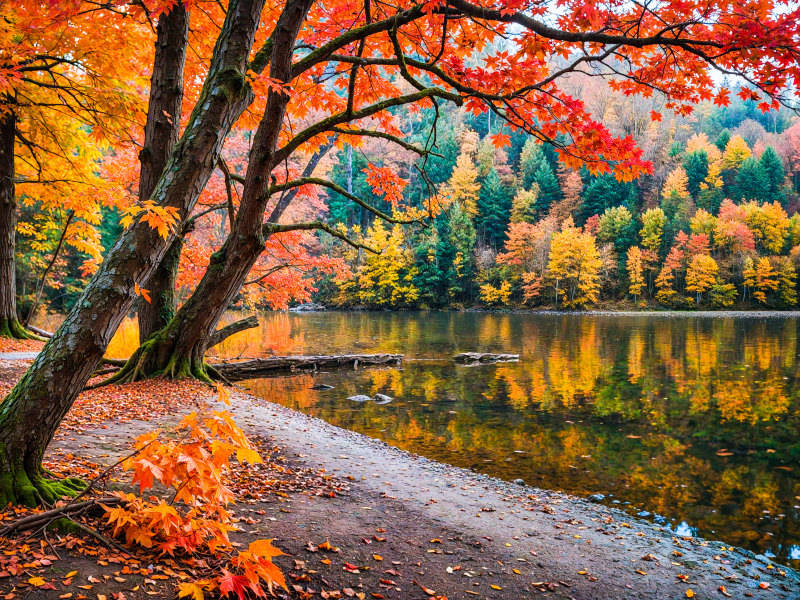 2025影像盤點 | 與山河同呼吸——攝影師 張雲霞