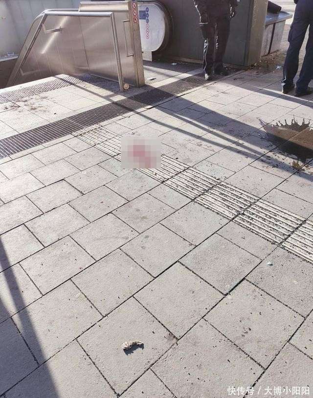 原創中國留學生德國遇襲後反擊續：被判防衛，打人者匈牙利籍，是慣犯