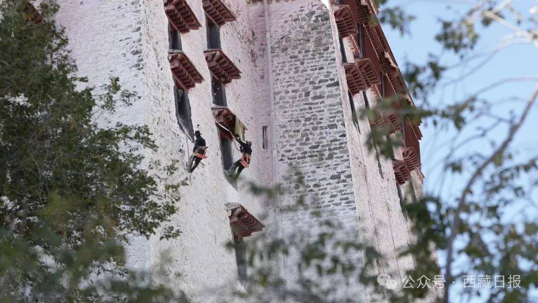 布達拉宮開始年度“美容”啦！