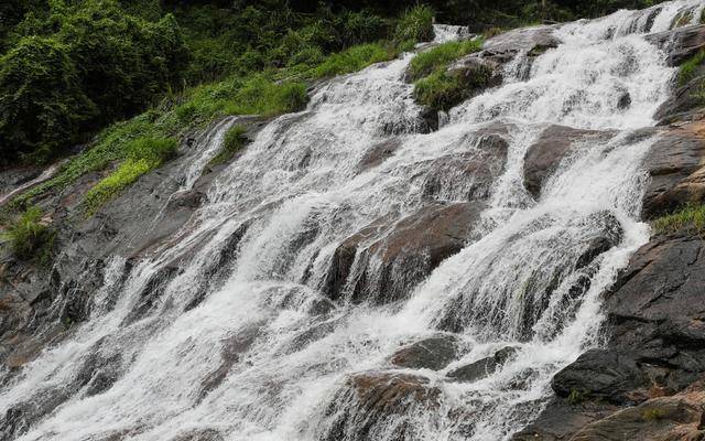 冬日浪漫！深圳坪山賞梅路線快收藏好