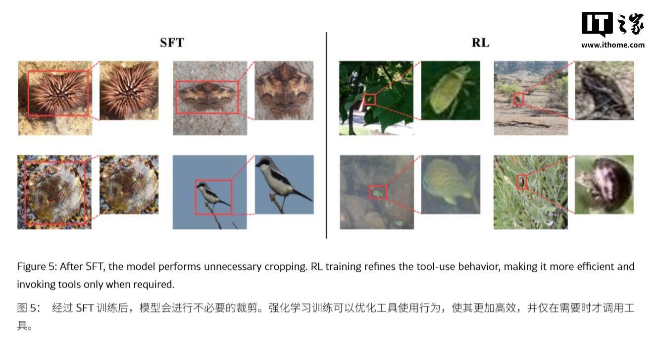遏制AI幻覺：蘋果DeepMMSearch-R1論文揭秘“影像裁剪”搜尋術