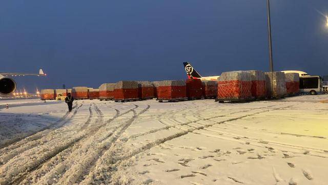 新年“空中快遞”加速飛！河南跨境電商全貨機忙出海