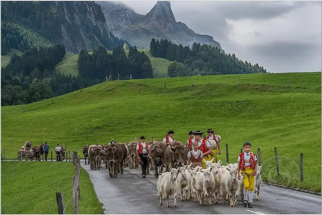 揭曉 | 2025年塞普勒斯第5屆SALAMIS國際攝影大賽（旅遊組）獲獎公佈