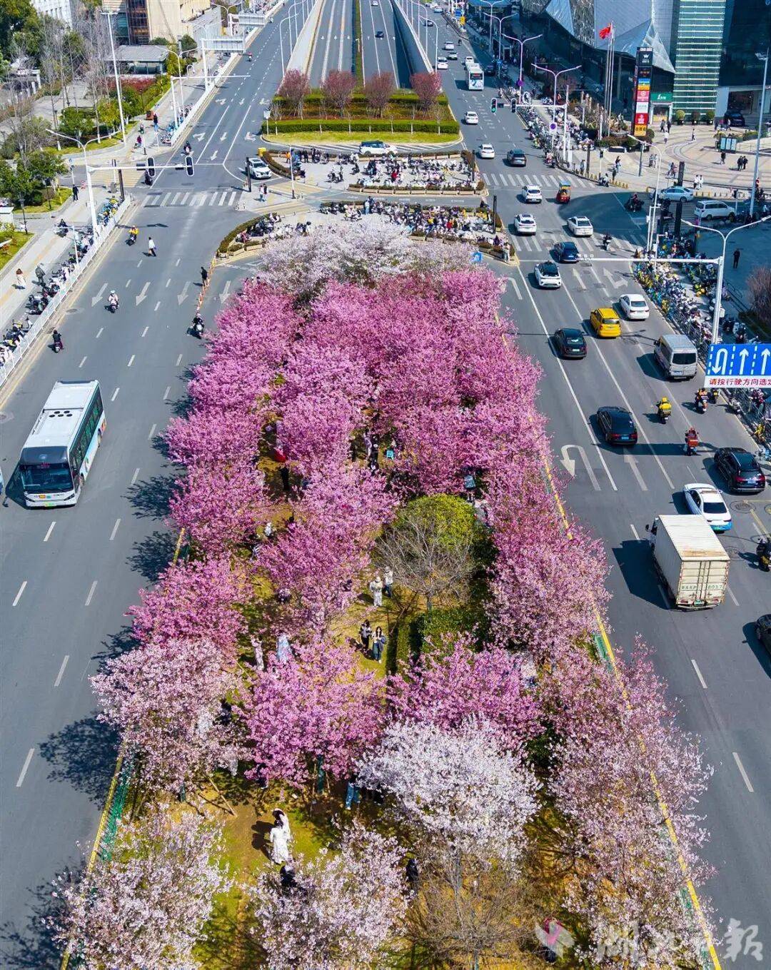 早安·黃石 | 黃石這些崗位招聘計劃調整 / 周杰倫即將釋出新專輯