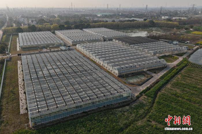 浙江桐鄉：科技育苗助春耕