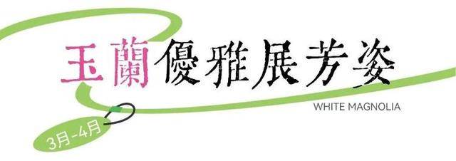 速收藏！棗莊臺兒莊古城春之花影與夜燈，錯過再等一年喲！