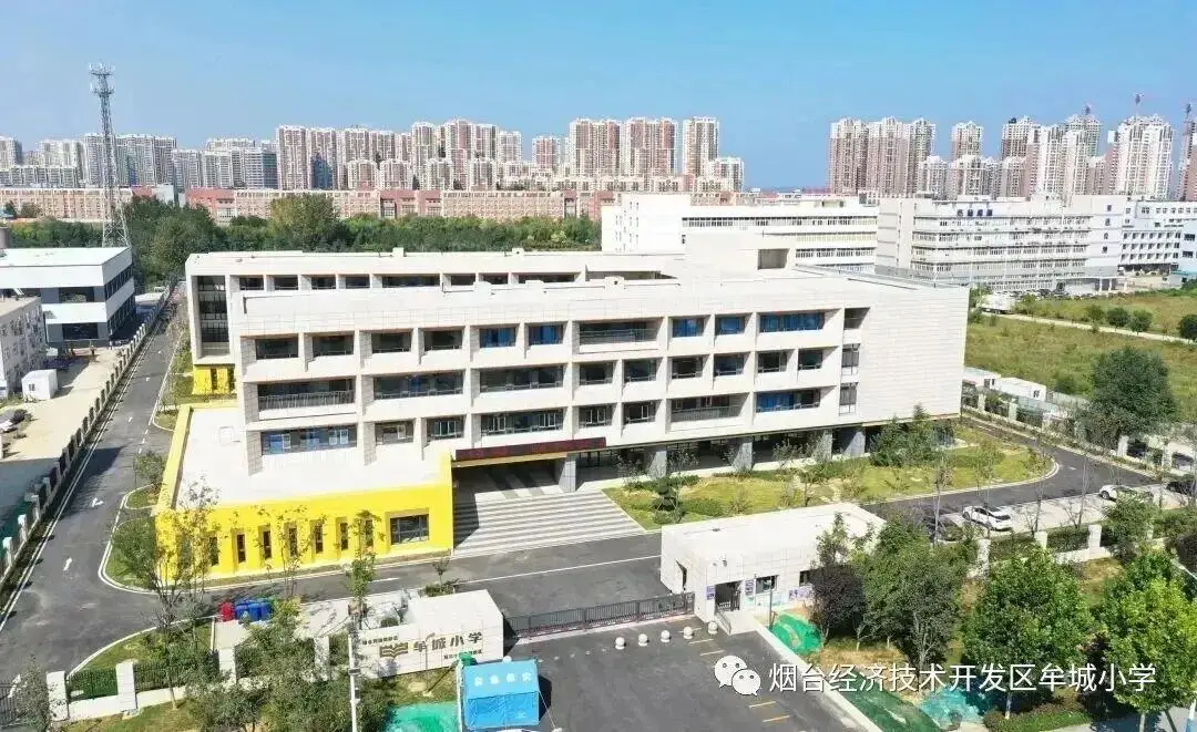 煙臺一小學四年級開學10天沒專職英語老師，教體局：原老師突發重大疾病，有人代課