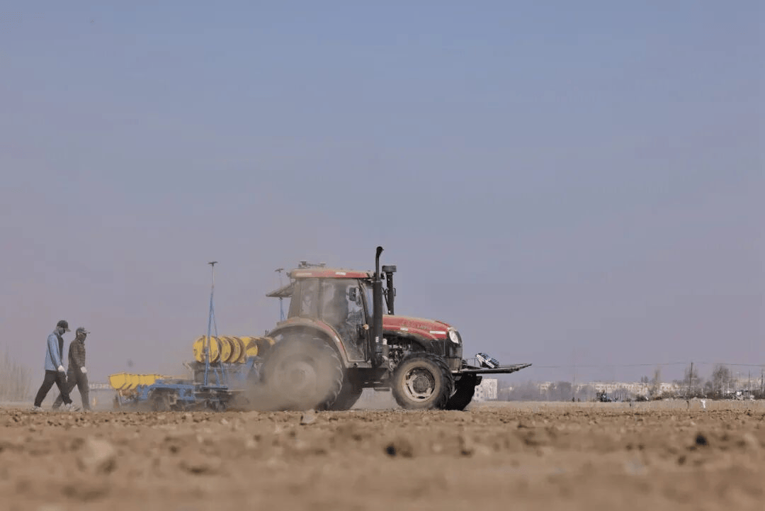 博州142萬畝棉花春播正酣 科技服務助力豐收