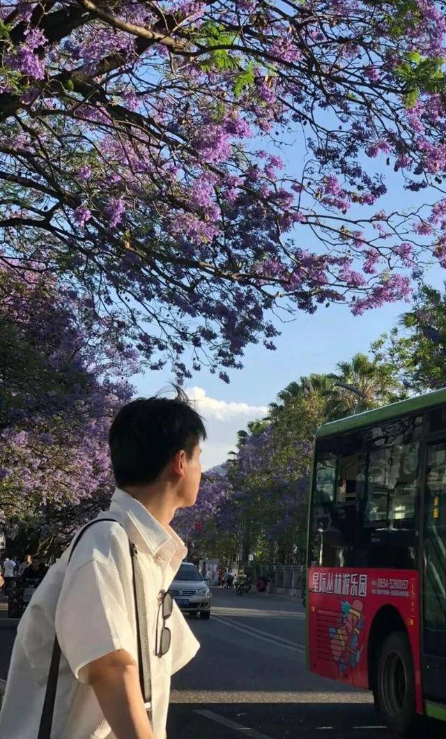 比大理浪漫！比昆明更近！高鐵直達陽光小城，2萬株藍花楹美瘋！觀海登山，美食吃到爽！