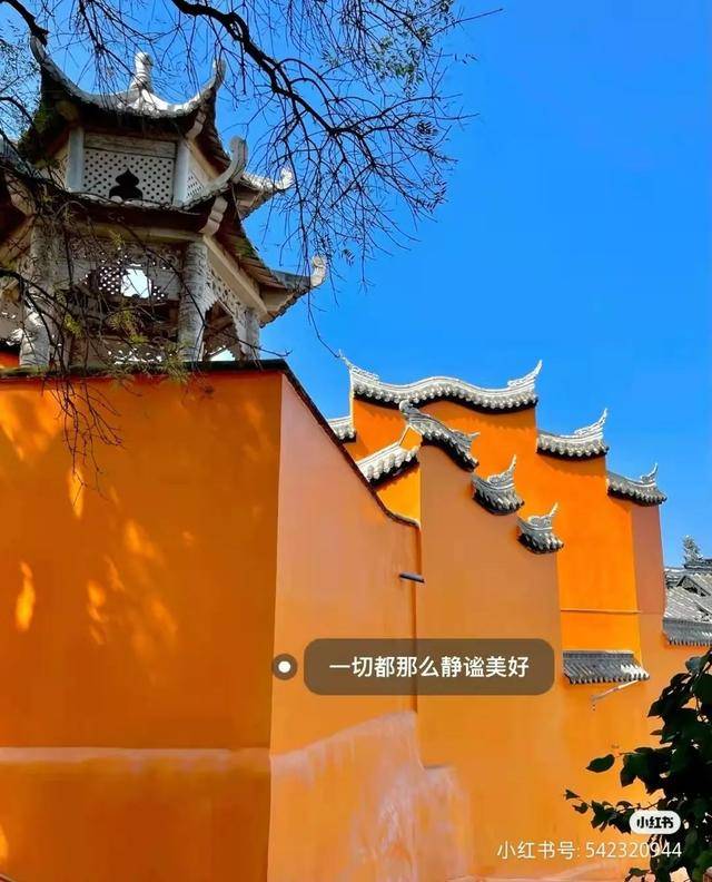 比大理浪漫！比昆明更近！高鐵直達陽光小城，2萬株藍花楹美瘋！觀海登山，美食吃到爽！