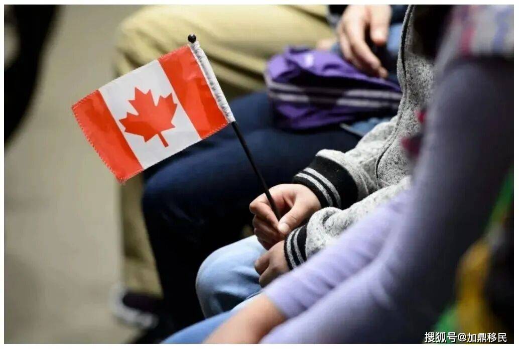 加拿大移民被困“安調黑洞”，如何快速“脫坑”？