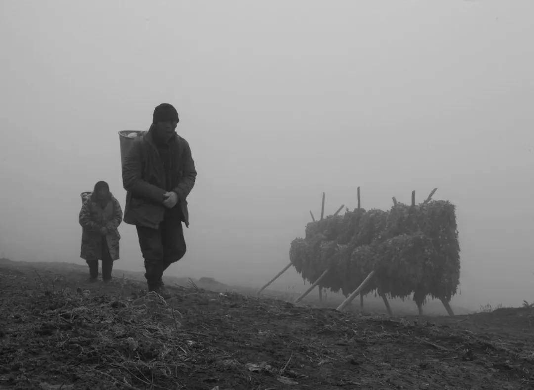 國際旅遊攝影網2026年國內外攝影路線全景指南