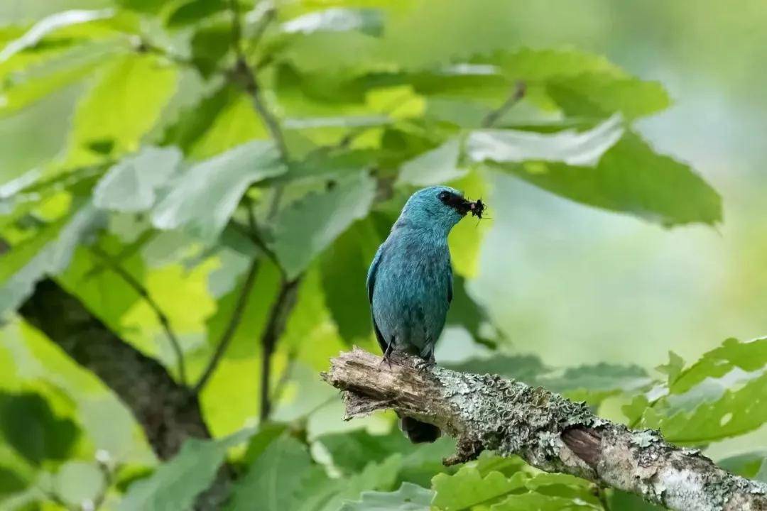 國際旅遊攝影網2026年國內外攝影路線全景指南