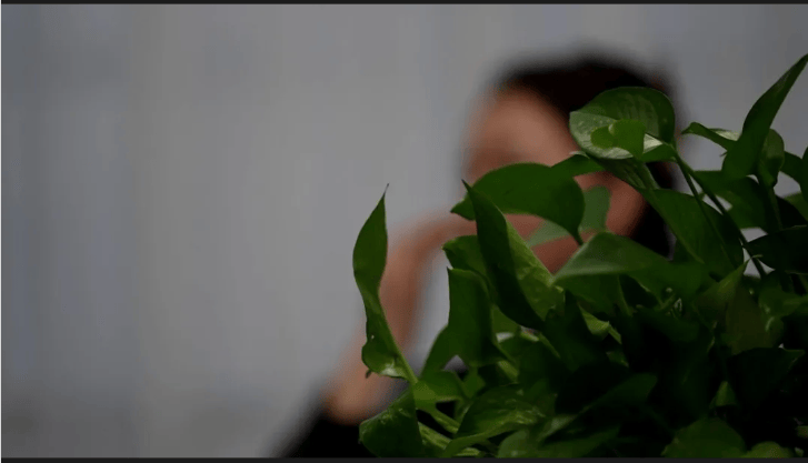 “飛行員男友”竟是廚師！一人分飾三角，百名女性受騙