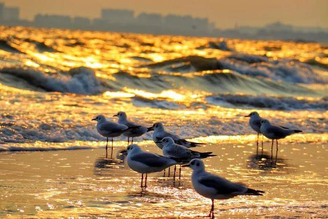 秦皇島北戴河榮登年度“旅遊增速TOP10”，冬天的她美出新高度！