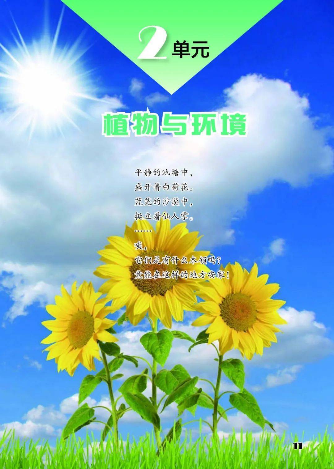 2026蘇教版五年級科學下冊電子課本(PDF高畫質版新教材)