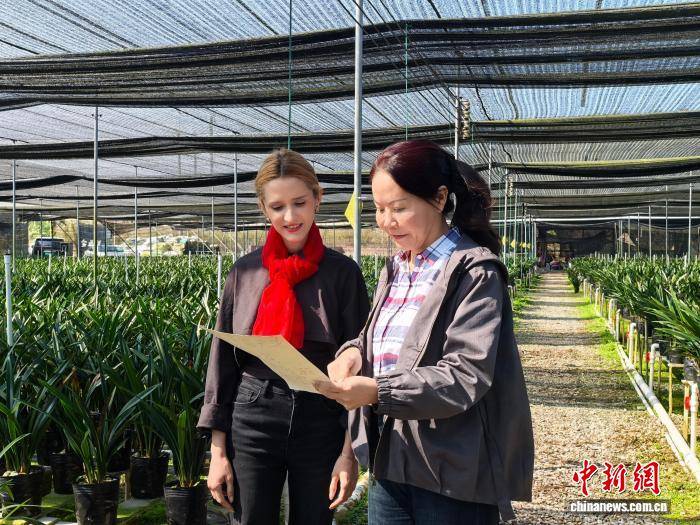 （新春走基層）留學生用影像連線中外：蘭花產業點亮廣東鄉村