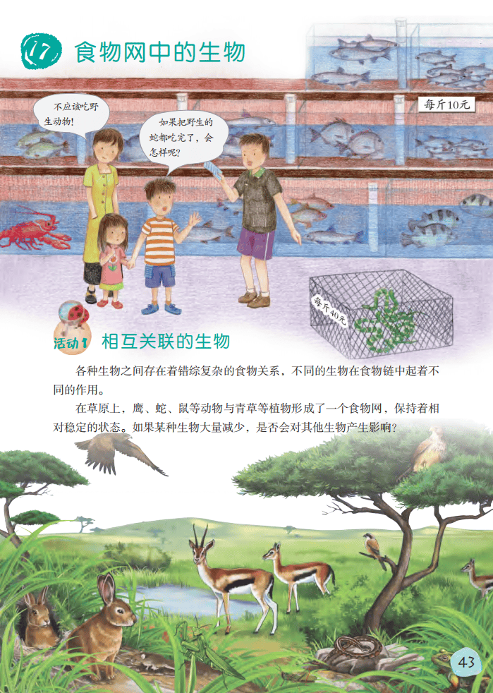 2026粵教版六年級科學下冊電子課本(PDF高畫質版新教材)