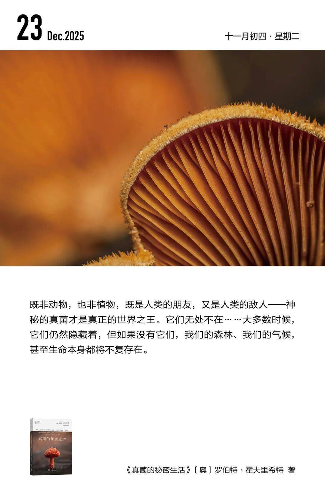 法律是否必然需要解釋？新書《法律解釋理論：推論語義學的視角》