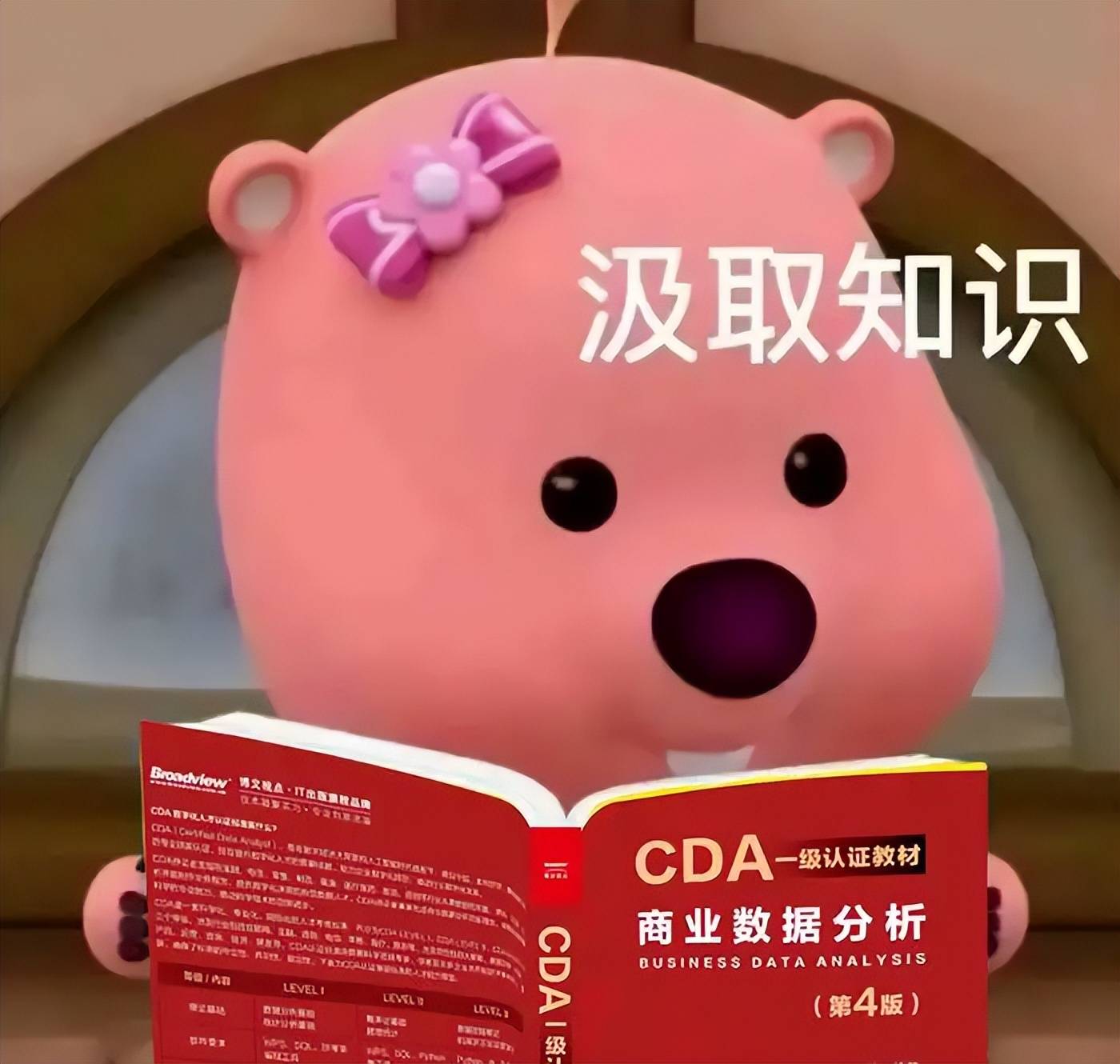 高職統計與會計核算專業，怎麼平衡會計考證和資料分析工具學習？