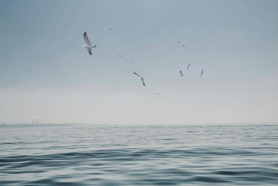 原創100個近期收藏的情緒短句，喜歡可收藏