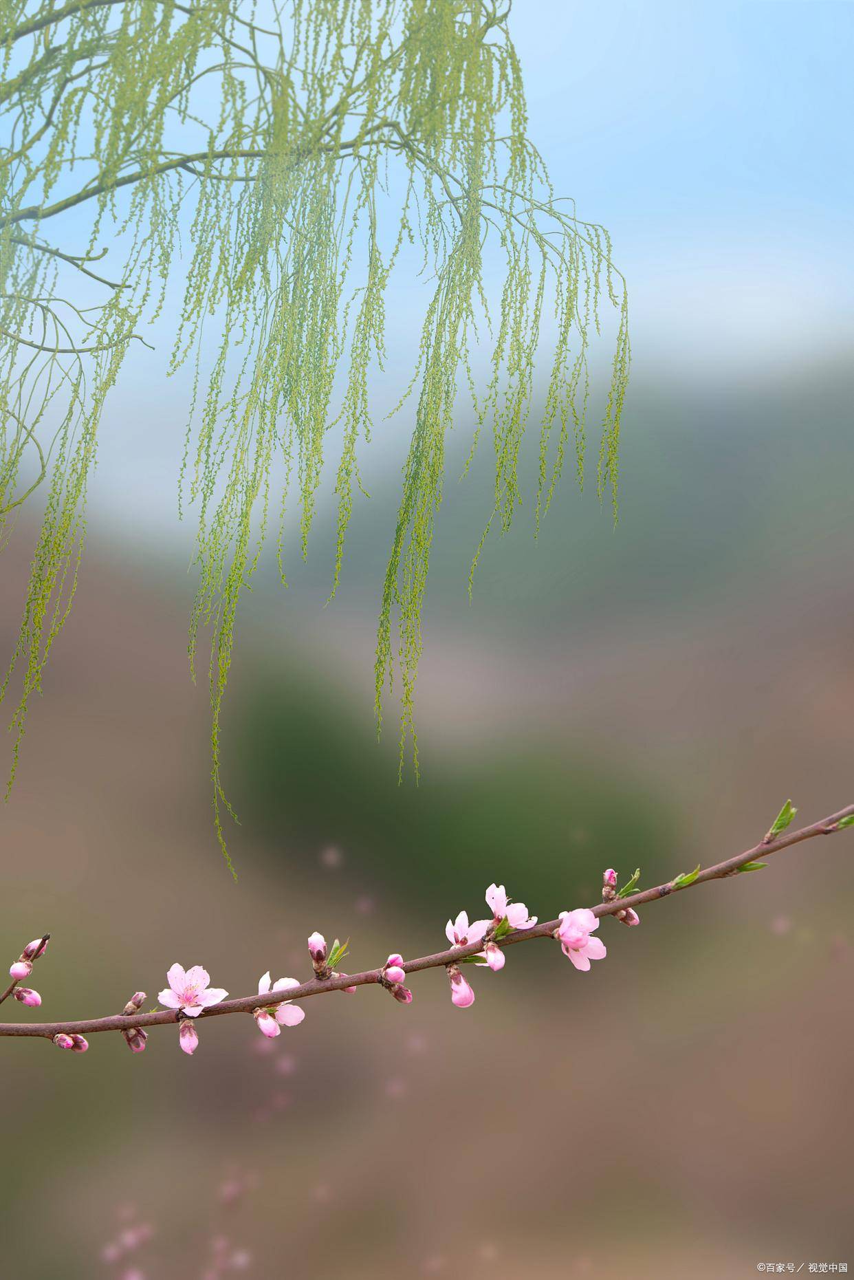 朝拜不必遠去（詩歌）