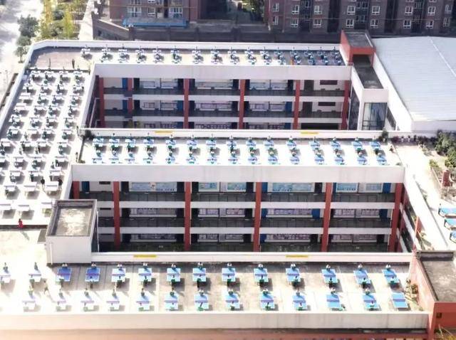 11年，學生平均增高5.52釐米！成都這所小學，登上教育部釋出會