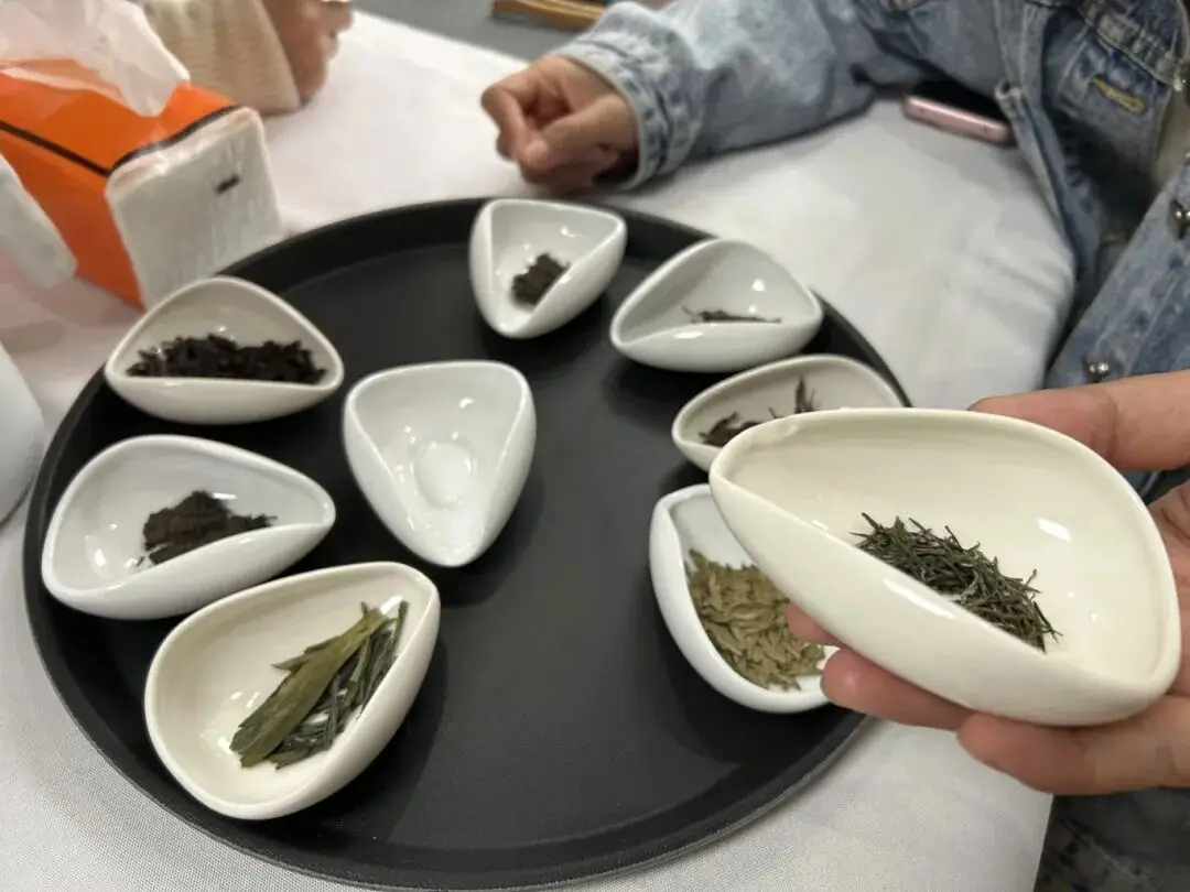 成都夜校即將開班，3月多區課程上新！舞蹈、配音、攝影、瑜伽、咖啡、化妝、羽毛球、八段錦…