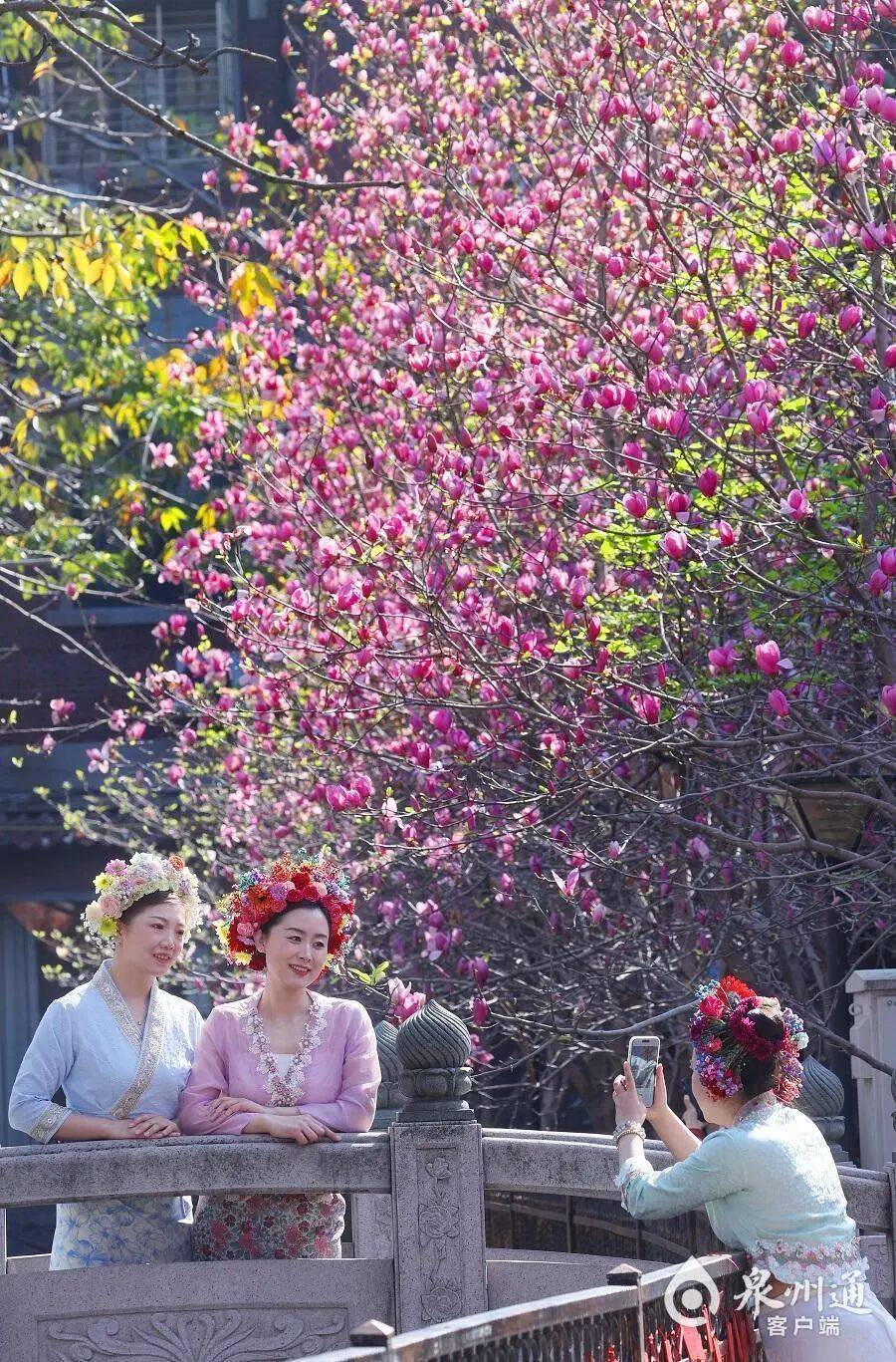 收藏！泉州春日賞花去哪裡？花期+地址全攻略