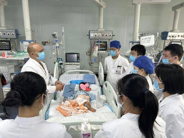 女童被眼鏡王蛇咬傷，“假死”3天后奇蹟生還！