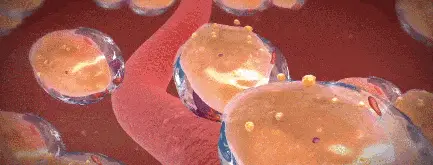 女性最佳“絕經期”已公佈，不是45歲，而是這個數，越接近越健康!