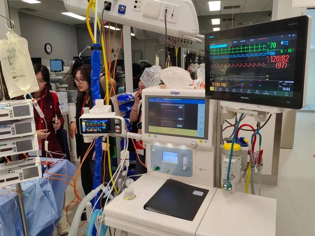 【2026艾迪探校① 】最佳留學城市-阿德萊德，親歷南澳州留學體驗！