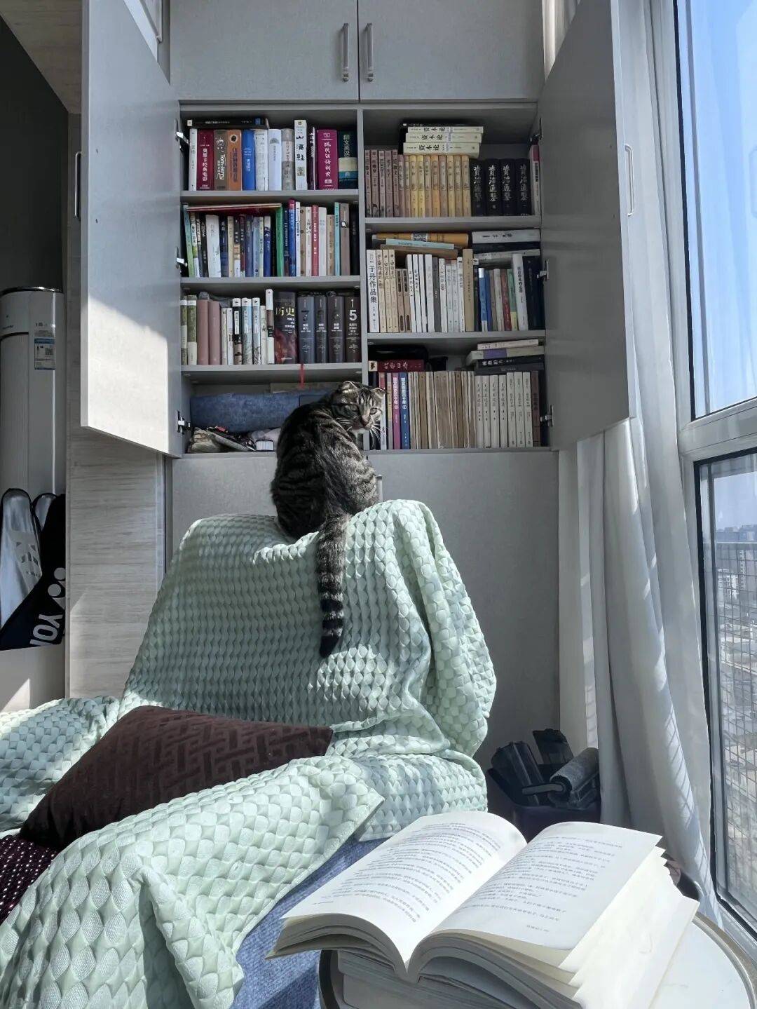 裝修“精神角落”，就是這麼上癮