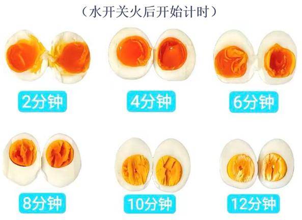 煮蛋也能發論文？全網“最懂雞蛋”的出現了