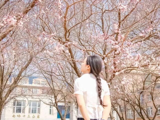 絕美杏花大道上線！拍照點位速速收藏！