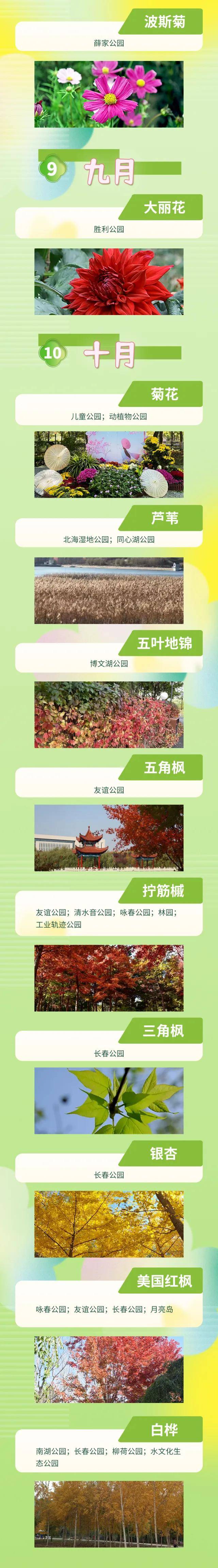 絕了！一直開開開不完！賞花攻略趕緊收藏