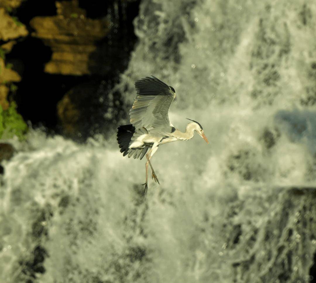 昆明瀑布公園 N 種玩法！水霧、遛娃與撒歡指南來了，快轉發收藏~