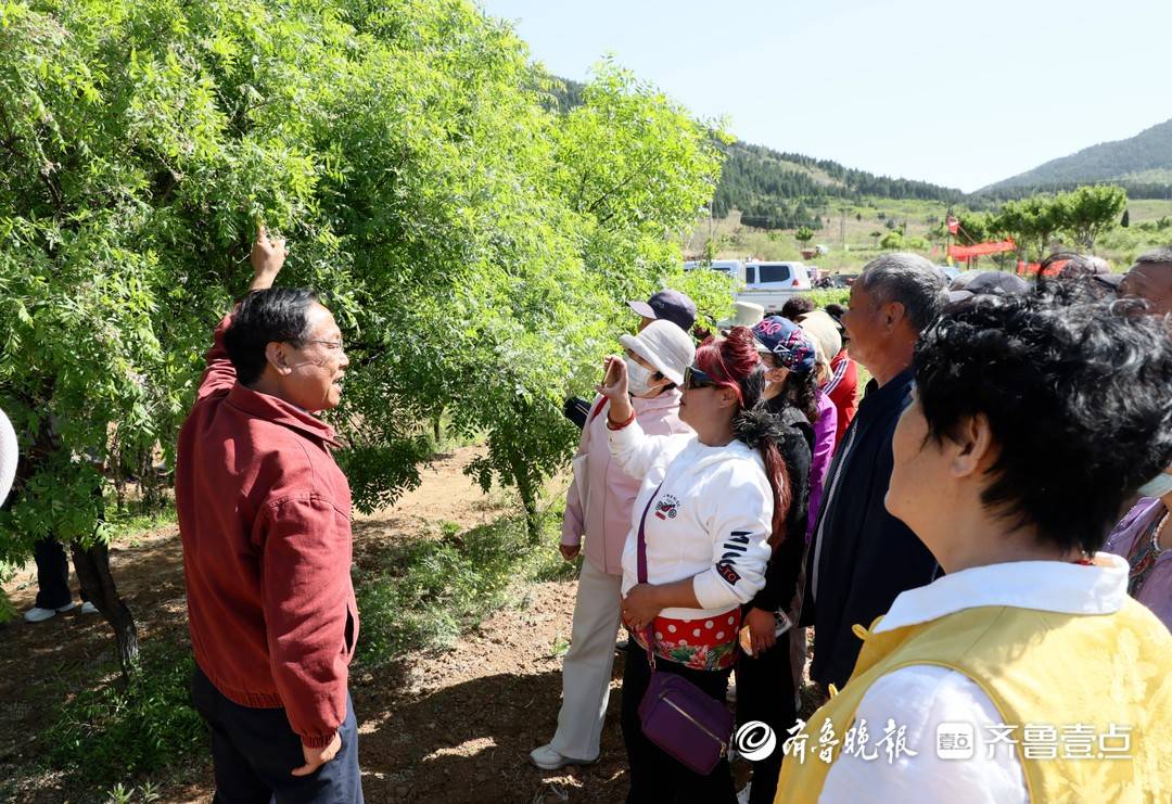 科技賦能文冠果產業，山東省自然資源廳送科技下鄉活動走進淄博