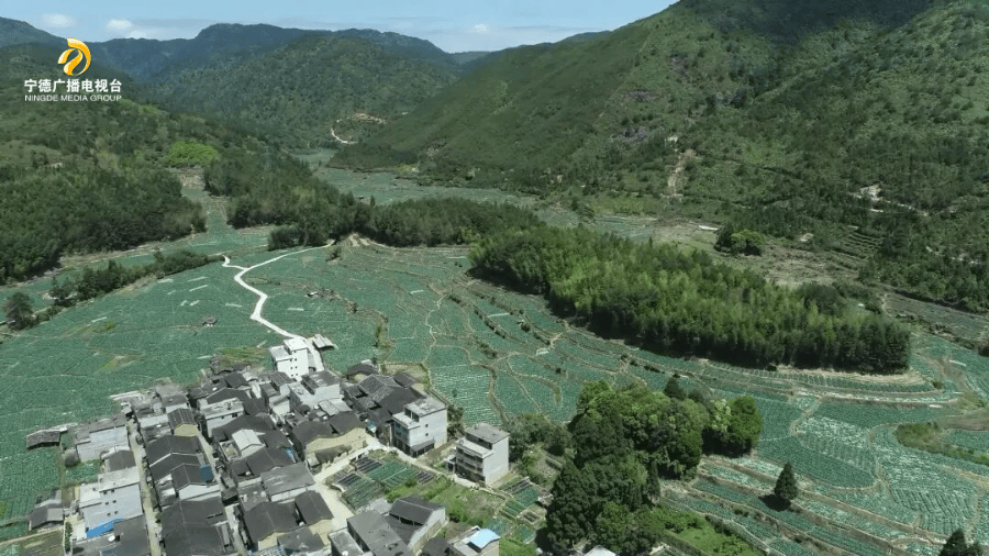 穀雨至，農事興！春耕也玩“黑科技”