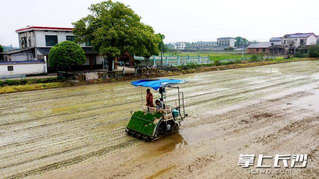 科技賦能！靖港春耕跑出“加速度”