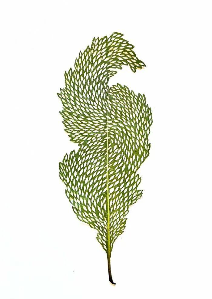 她用針線在幹樹葉上刺繡，最終完成的作品，讓人直呼驚豔