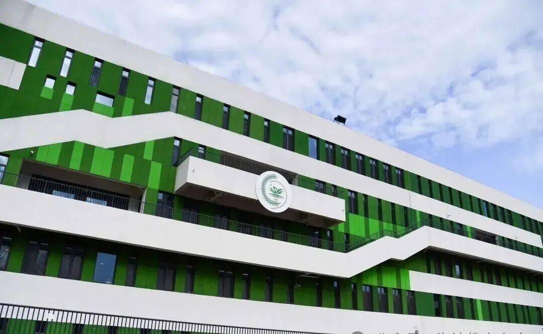 速看！海淀多所中小幼學校招聘——