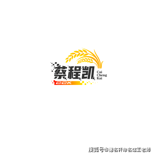 原創寶寶起名案例 蔡程凱：程開凱歌，蔡門榮光