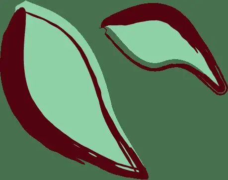 這類疾病，女性的發病率是男性的2-3倍，但是……