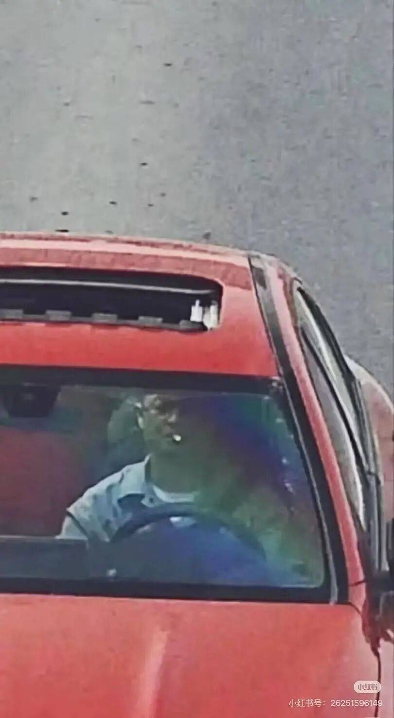 “裝修讓父母參與的下場竟然是…？”哈哈哈大眾點評上怎麼沒看到你家！